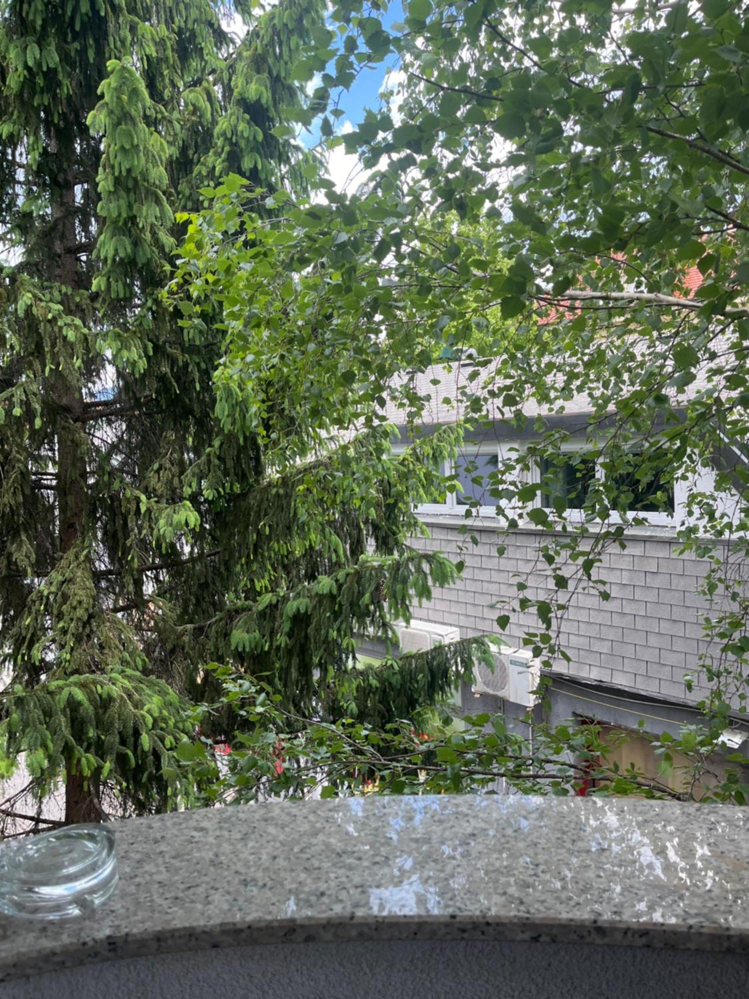 Apartmani Vacanza Zagreb Eksteriør billede